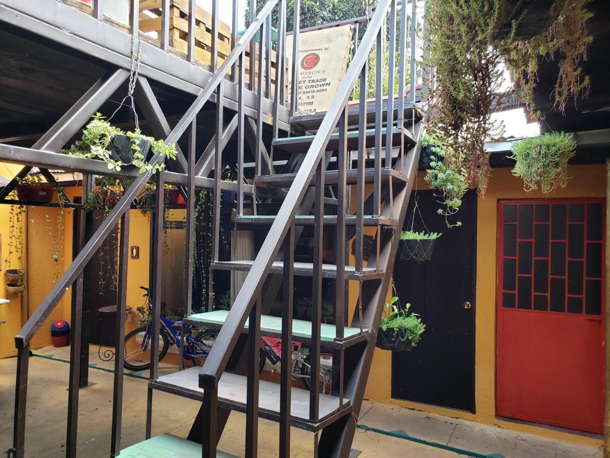 Parrot House Bed and Breakfast Antigua Buitenkant foto